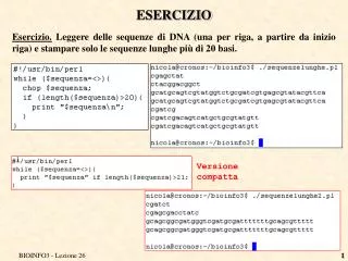 esercizio