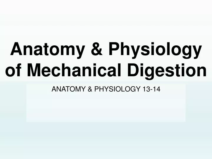 anatomy physiology of mechanical digestion