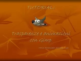 tutorial trasparenze e animazioni con gimp