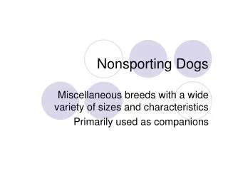 Nonsporting Dogs