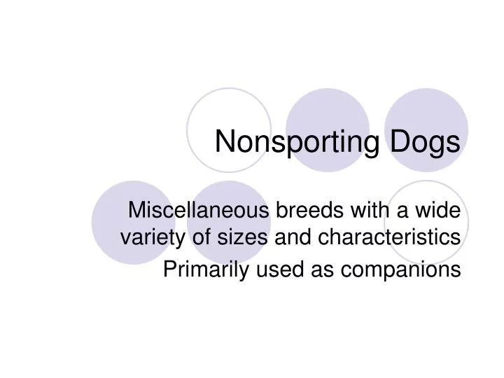 nonsporting dogs
