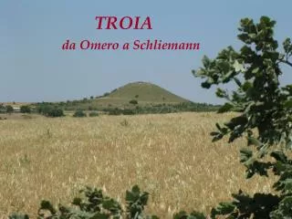 da omero a schliemann