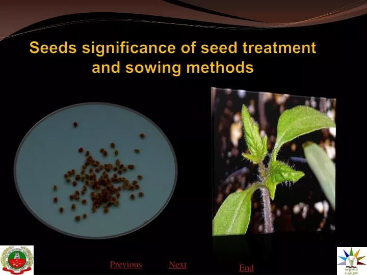 seeds significance of seed treatment and sowing methods