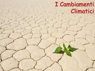 i cambiamenti climatici