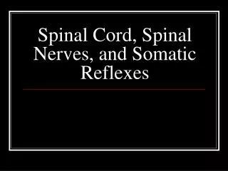 Spinal Cord, Spinal Nerves, and Somatic Reflexes