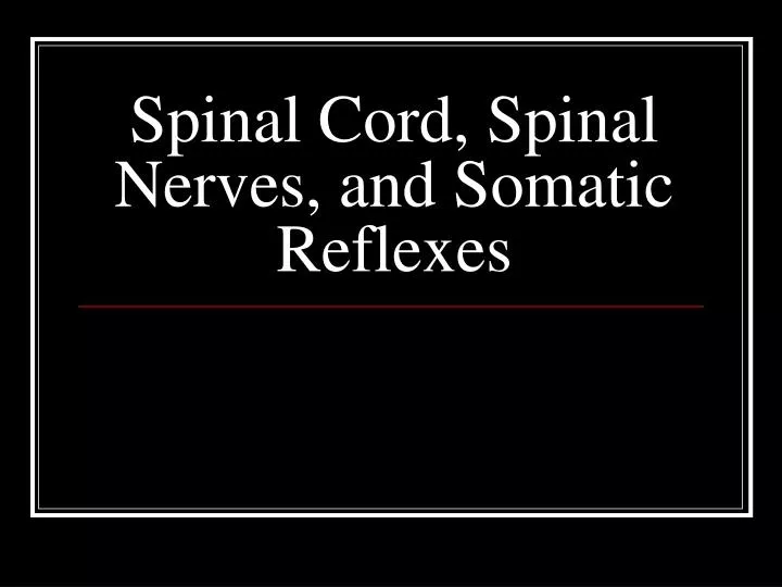 spinal cord spinal nerves and somatic reflexes