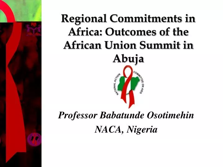 regional commitments in africa outcomes of the african union summit in abuja