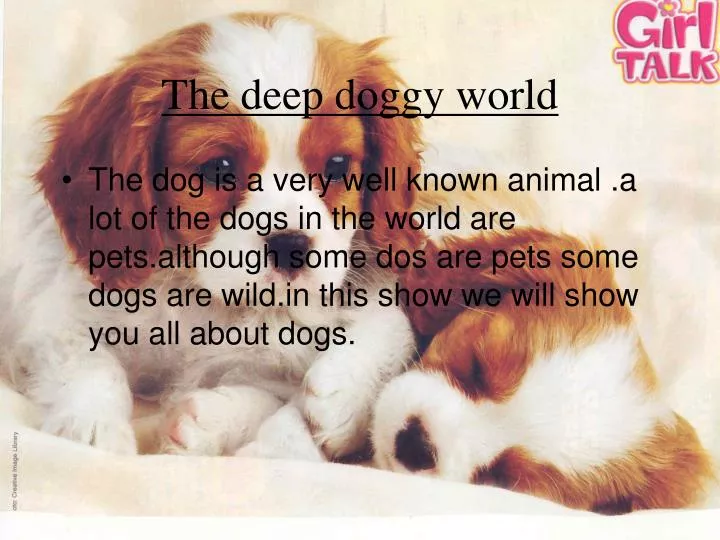 the deep doggy world