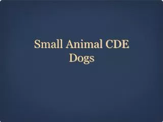 Small Animal CDE Dogs
