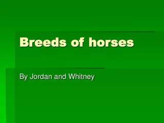 Breeds of horses