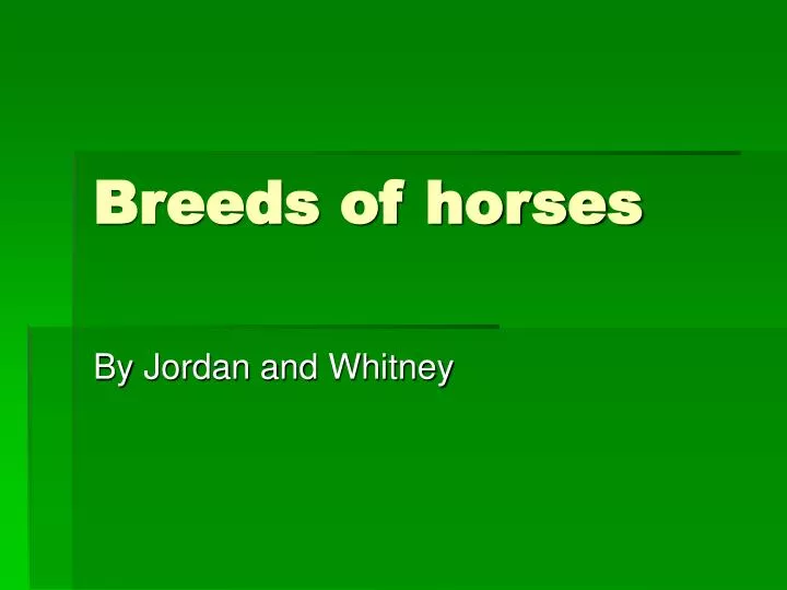 breeds of horses