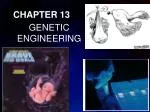 Understanding Genetic Engineering: Cloning, Breeding, and the Future of Food - slide 1