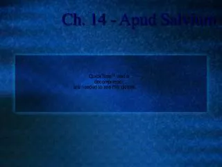 Ch. 14 - Apud Salvium