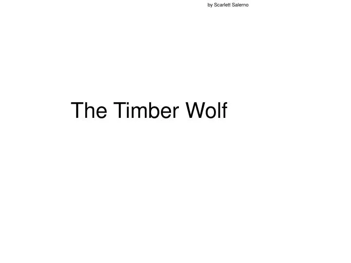 the timber wolf