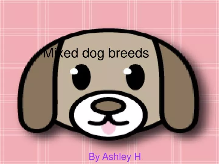 mixed dog breeds