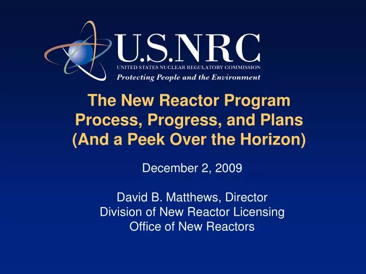 the new reactor program process progress and plans and a peek over the horizon