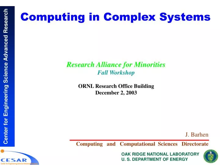 computing in complex systems