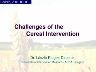 Challenges of the Cereal Intervention