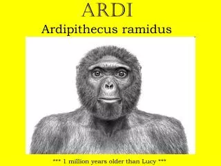 Ardi Ardipithecus ramidus