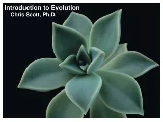 Introduction to Evolution Chris Scott, Ph.D.