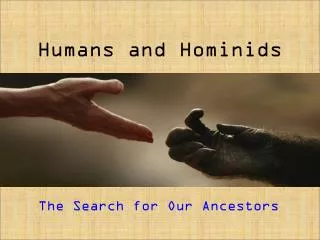 Humans and Hominids
