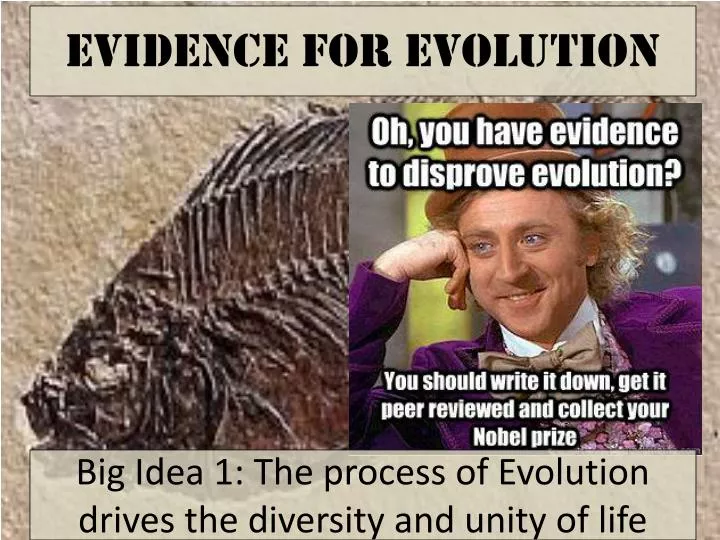 evidence for evolution