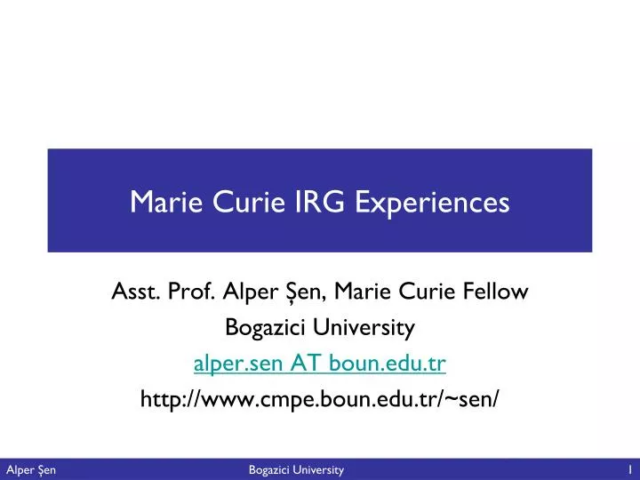 marie curie irg experiences