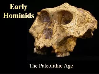 Early Hominids