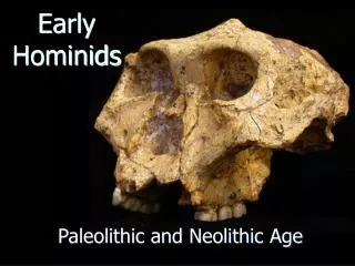 Early Hominids