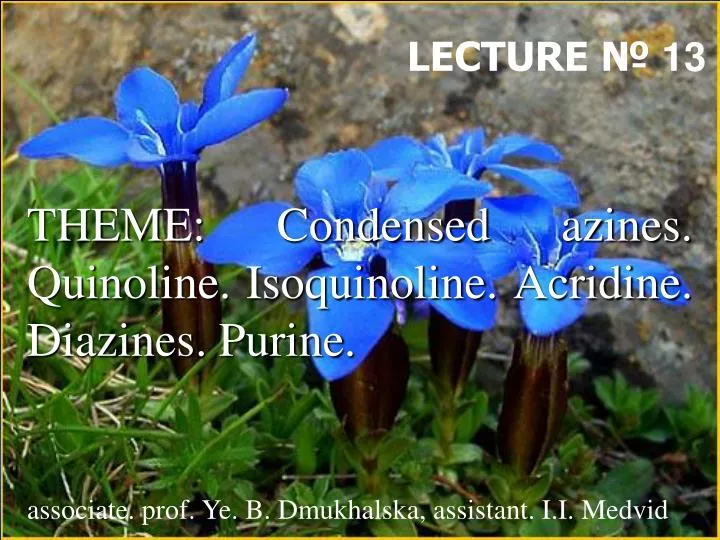 theme condensed azines quinoline isoquinoline acridine diazines purine