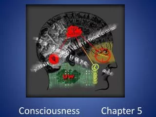 Consciousness Chapter 5