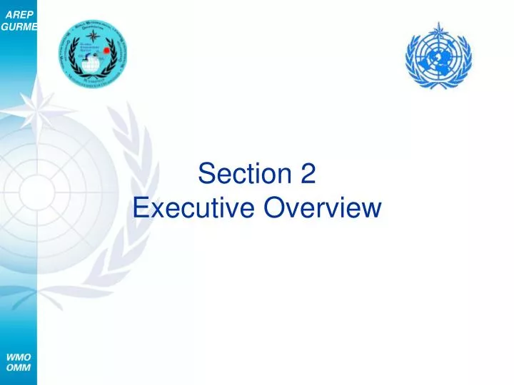 section 2 executive overview