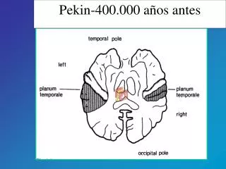 pekin 400 000 a os antes