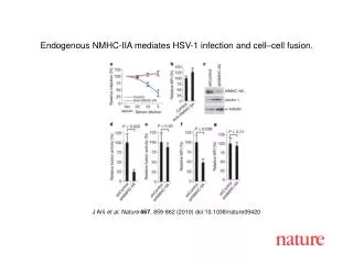 J Arii et al. Nature 467 , 859-862 (2010) doi:10.1038/nature09420