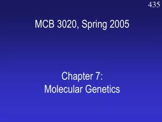 MCB 3020, Spring 2005 Chapter 7: Molecular Genetics