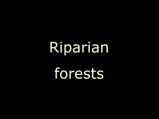 Riparian forests