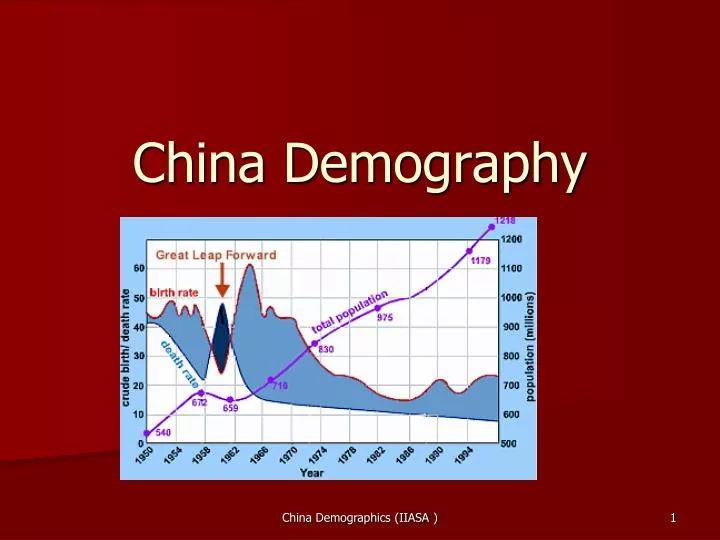 china demography