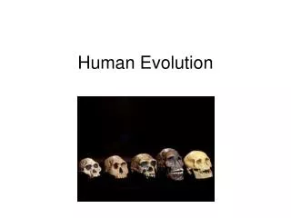 Human Evolution