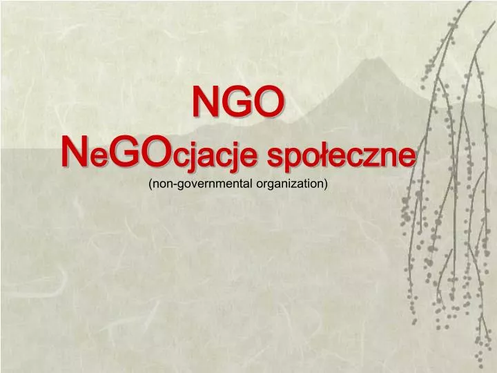 ngo n e go cjacje spo eczne non governmental organization