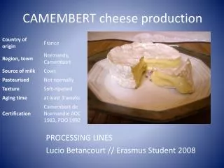 CAMEMBERT cheese production