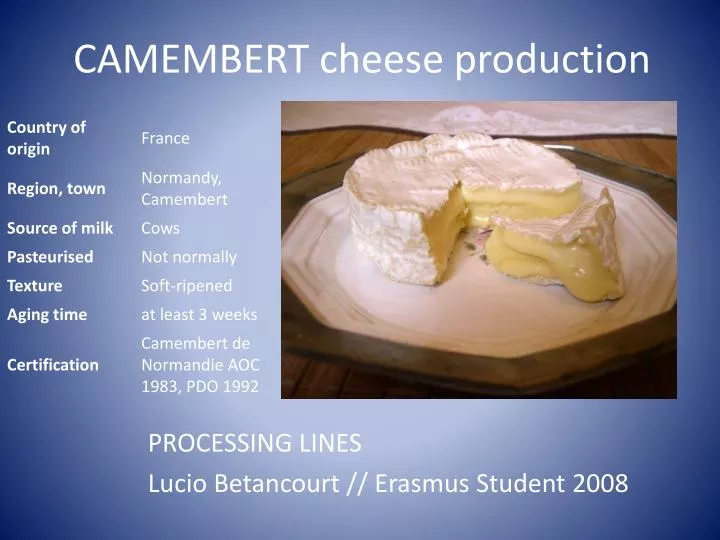 camembert cheese production
