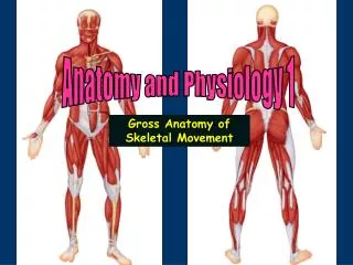 Anatomy and Physiology 1