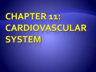 Chapter 11: Cardiovascular System