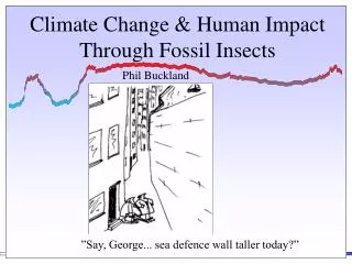 Climate Change &amp; Human Impact Through Fossil Insects