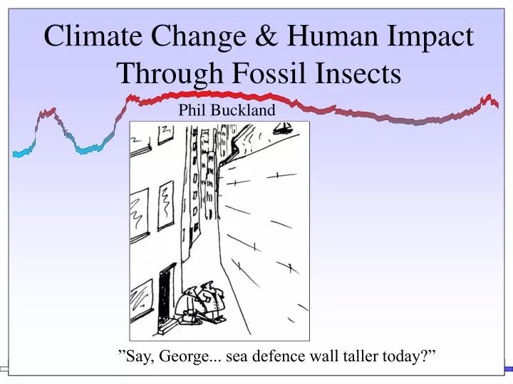 climate change human impact through fossil insects