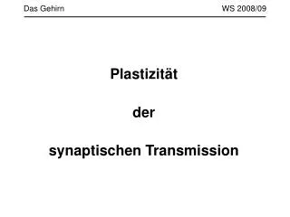 das gehirn ws 2008 09