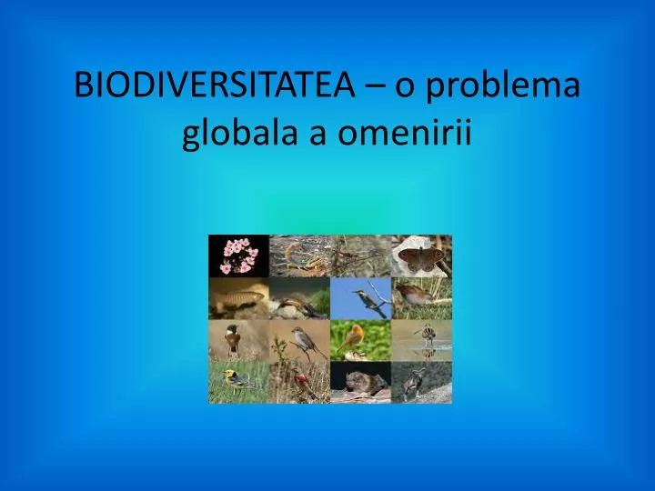 biodiversitatea o problema globala a omenirii