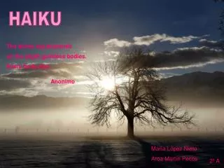 HAIKU