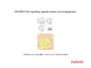 CM Metallo et al . Nature 000 , 1 - 5 (2011) doi:10.1038/nature10602