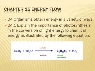Chapter 15 Energy Flow